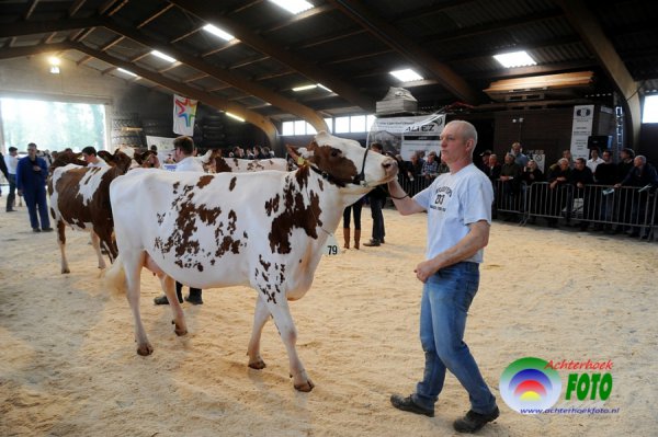 Fokveeshow Lochem 29 maart 2014