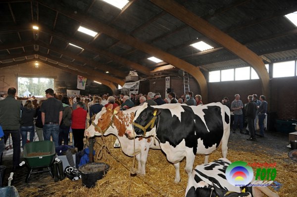 Fokveeshow Lochem 29 maart 2014