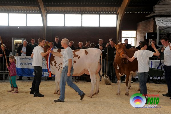 Fokveeshow Lochem 29 maart 2014